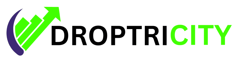 "Dropshipping automation tool dashboard for Shopify store in 2025"