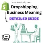 Dropshipping automation tool dashboard for Shopify store in 2025