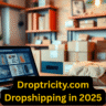 Unlocking Success in E-Commerce: A Comprehensive Guide to Droptricity.com Dropshipping in 2025