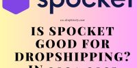 "Dropshipping automation tool dashboard for Shopify store in 2025"